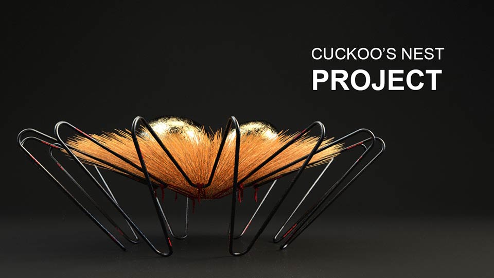cuckoo's nest project